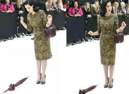 蒂塔万提斯（Dita Von Teese）是谁 最优雅的舞娘(图3)