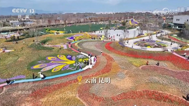 幸福产业”书写乡村振兴“花样”答卷(图1)